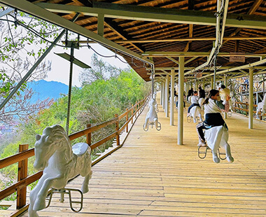 上山飞马轨道链条式爬坡游览车